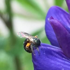 Meet your Posher, Robin